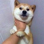 Laura Martínez avatar